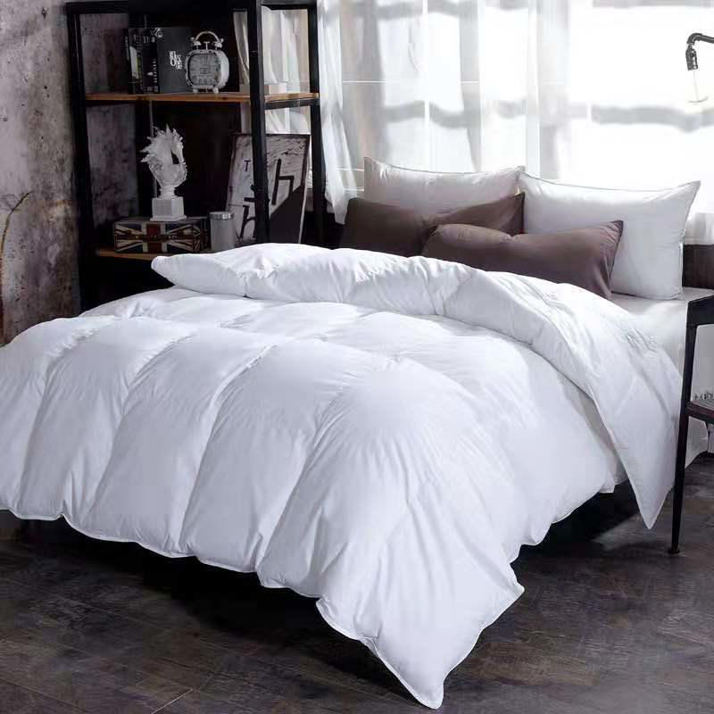 Bedding.sg: Elevating Comfort and Quality in Every Singaporean Home