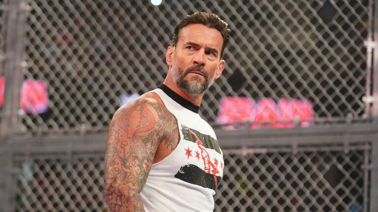 cm punk