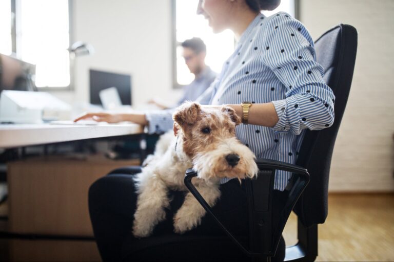 1736781836 better health with pets in the workplace 0125 g 994241460