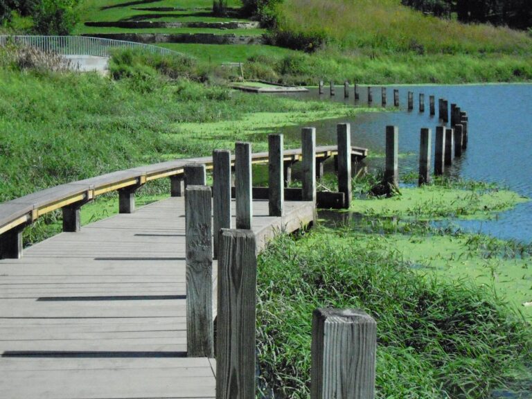 Greenwood Pond Double Site Des Moines IA 2014. Photo c Judith Eastburn courtesy The Cultural Landsca