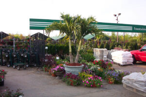 A-Touch-of-Green-8